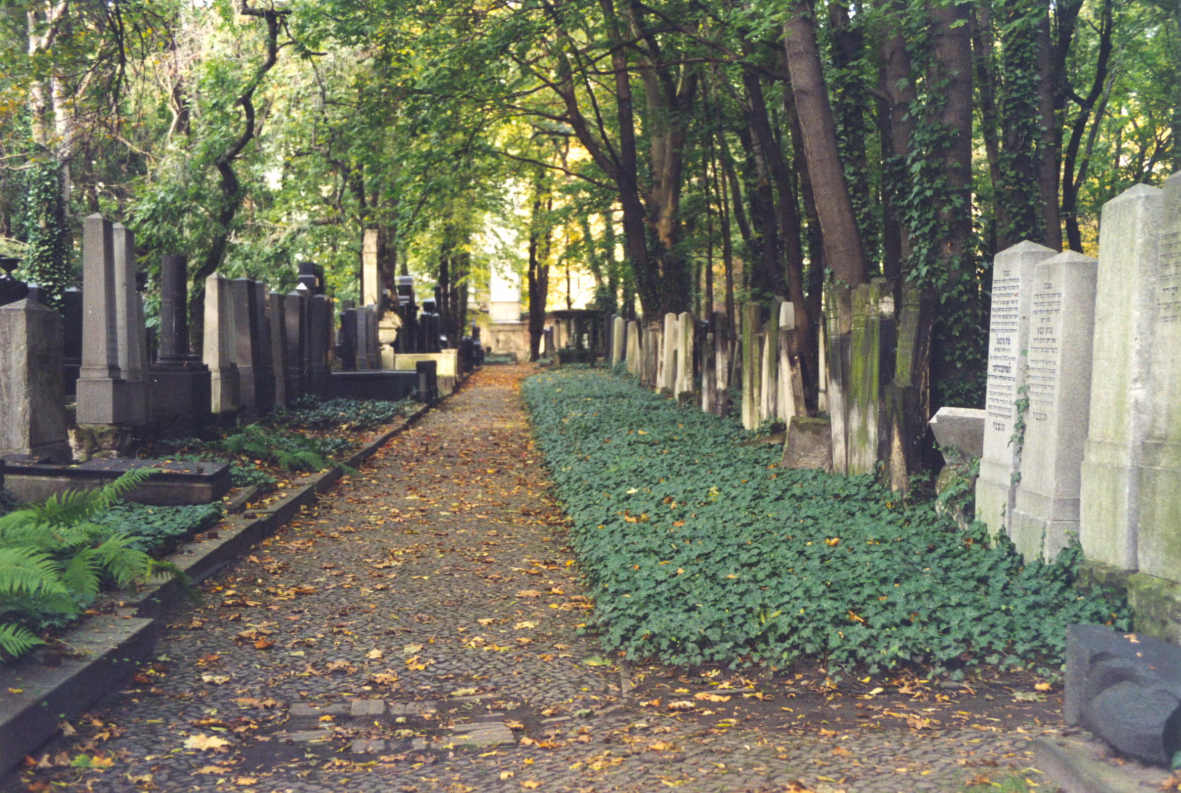 7-Juedischer Friedhof