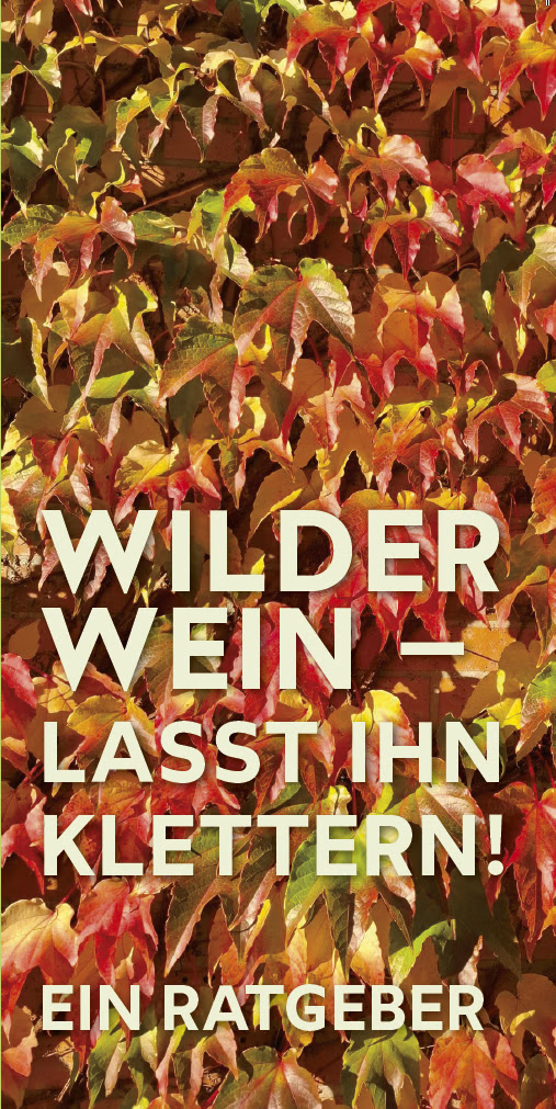 Wilder Wein lasst ihn klettern - Leporello Wilder Wein lasst ihn klettern - Leporello